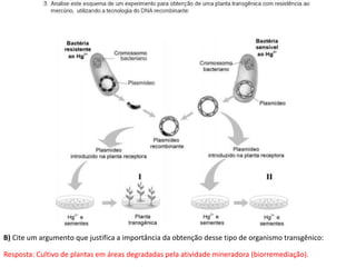 B) Cite um argumento que justifica a importância da obtenção desse tipo de organismo transgênico:
Resposta: Cultivo de plantas em áreas degradadas pela atividade mineradora (biorremediação).
 