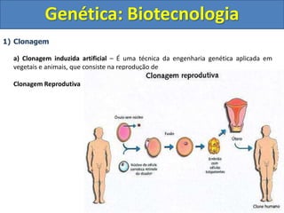 1) Clonagem
a) Clonagem induzida artificial – É uma técnica da engenharia genética aplicada em
vegetais e animais, que consiste na reprodução de
Clonagem Reprodutiva
Genética: Biotecnologia
 