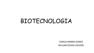 BIOTECNOLOGIA
CAMILO ANDRES GOMEZ
WILLIAM OCHOA CAICEDO
 