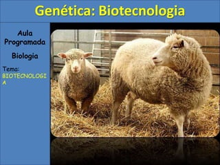 Aula
Programada
Biologia
Tema:
BIOTECNOLOGI
A
Genética: Biotecnologia
 