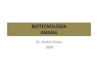 BIOTECNOLOGÍA
ANIMAL
Dr. Andrés Sciara
2009
 
