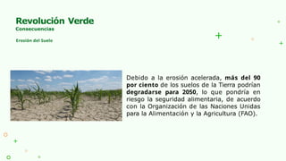 Biotecnologia-Aplicada para la restauración de la salud de suelos | PPTX