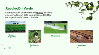Biotecnologia-Aplicada para la restauración de la salud de suelos | PPTX