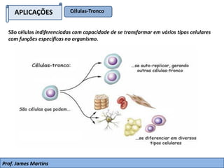 APLICAÇÕES
São células indiferenciadas com capacidade de se transformar em vários tipos celulares
com funções específicas no organismo.
Células-Tronco
Prof. James Martins
 