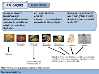 APLICAÇÕES Células-Tronco
Prof. James Martins
CÉLULAS - TRONCO
EMBRIONÁRIAS
- Células indiferenciadas
retiradas do embrião em
estágio de mórula ou
blastocisto
CÉLULAS - TRONCO
ADULTAS
- Células com capacidade
reduzida de diferenciação.
http://www.rntc.org.br/ceacutelulas-tronco.html
CÉLULAS PLURIPOTENTES
INDUZIDAS (CÉLULAS IPS)
- Produzidas em laboratório
desde 2007.
 
