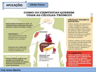 APLICAÇÕES Células-Tronco
Prof. James Martins
 