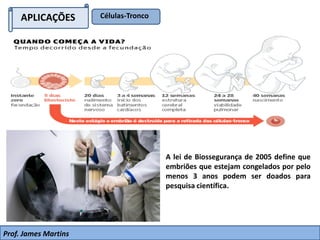 APLICAÇÕES Células-Tronco
A lei de Biossegurança de 2005 define que
embriões que estejam congelados por pelo
menos 3 anos podem ser doados para
pesquisa científica.
Prof. James Martins
 
