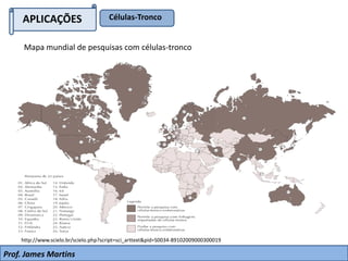 APLICAÇÕES Células-Tronco
Prof. James Martins
Mapa mundial de pesquisas com células-tronco
http://www.scielo.br/scielo.php?script=sci_arttext&pid=S0034-89102009000300019
 