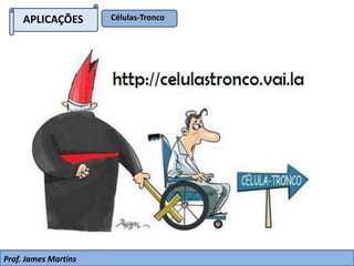 APLICAÇÕES Células-Tronco
Prof. James Martins
 