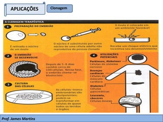 APLICAÇÕES Clonagem
Prof. James Martins
 