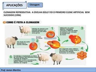 APLICAÇÕES Clonagem
CLONAGEM REPRODUTIVA: A OVELHA DOLLY FOI O PRIMEIRO CLONE ARTIFICIAL BEM
SUCEDIDO (1996)
Prof. James Martins
 