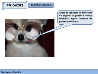 APLICAÇÕES Engenharia genética
Antes de conhecer as aplicações
da engenharia genética, vamos
relembrar alguns conceitos de
genética molecular.
Prof. James Martins
 