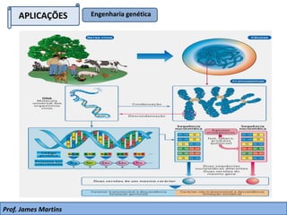 APLICAÇÕES Engenharia genética
Prof. James Martins
 