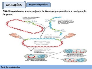 APLICAÇÕES Engenharia genética
DNA Recombinante: é um conjunto de técnicas que permitem a manipulação
de genes.
Prof. James Martins
 