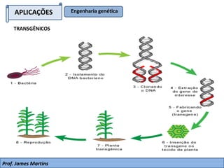 APLICAÇÕES Engenharia genética
TRANSGÊNICOS
Prof. James Martins
 