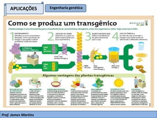 APLICAÇÕES Engenharia genética
Prof. James Martins
 