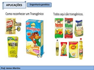 APLICAÇÕES Engenharia genética
Prof. James Martins
 