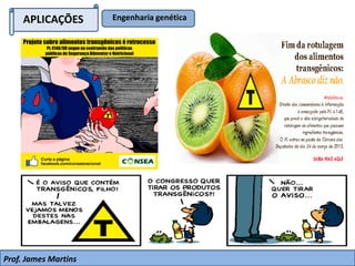 APLICAÇÕES Engenharia genética
Prof. James Martins
 