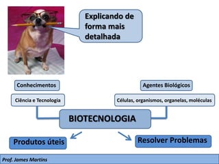Explicando de
forma mais
detalhada
Conhecimentos Agentes Biológicos
Ciência e Tecnologia Células, organismos, organelas, moléculas
BIOTECNOLOGIA
Produtos úteis Resolver Problemas
Prof. James Martins
 