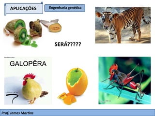 APLICAÇÕES Engenharia genética
SERÁ?????
Prof. James Martins
 