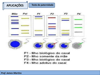 APLICAÇÕES Teste de paternidade
Prof. James Martins
 