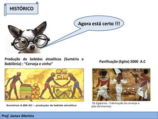 Produção de bebidas alcoólicas (Suméria e
Babilônia) : “Cerveja e vinho”
HISTÓRICO
Panificação (Egito) 2000 A.C
Agora está certo !!!
Prof. James Martins
 