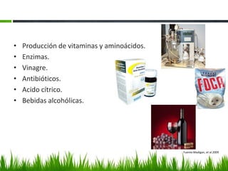 •   Producción de vitaminas y aminoácidos.
•   Enzimas.
•   Vinagre.
•   Antibióticos.
•   Acido cítrico.
•   Bebidas alcohólicas.




                                             Fuente:Madigan, et al.2009
 