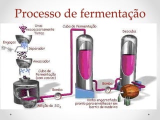 Processo de fermentação 
 