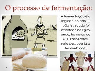 O processo de fermentação: 
A fermentação é o 
segredo do pão. O 
pão levedado foi 
inventado no Egito, 
onde, há cerca de 
6 000 anos atrás, 
seria descoberta a 
fermentação. 
 