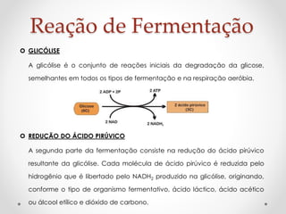 Reação de Fermentação 
 GLICÓLISE 
A glicólise é o conjunto de reações iniciais da degradação da glicose, 
semelhantes em todos os tipos de fermentação e na respiração aeróbia. 
 REDUÇÃO DO ÁCIDO PIRÚVICO 
A segunda parte da fermentação consiste na redução do ácido pirúvico 
resultante da glicólise. Cada molécula de ácido pirúvico é reduzida pelo 
hidrogênio que é libertado pelo NADH2 produzido na glicólise, originando, 
conforme o tipo de organismo fermentativo, ácido láctico, ácido acético 
ou álcool etílico e dióxido de carbono. 
 