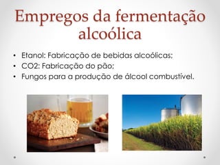 Empregos da fermentação 
alcoólica 
• Etanol: Fabricação de bebidas alcoólicas; 
• CO2: Fabricação do pão; 
• Fungos para a produção de álcool combustível. 
 
