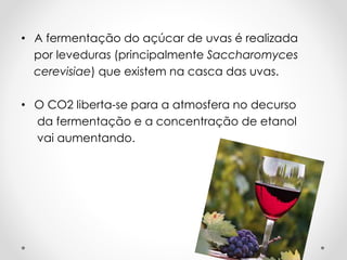 • A fermentação do açúcar de uvas é realizada 
por leveduras (principalmente Saccharomyces 
cerevisiae) que existem na casca das uvas. 
• O CO2 liberta-se para a atmosfera no decurso 
da fermentação e a concentração de etanol 
vai aumentando. 
 