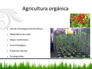 Agricultura orgánica
● Uso de microorganismos benéficos.
● Mejoradores de suelo.
● Mayor rendimiento.
● Control biológico.
● Productos inocuos.
● Sin plaguicidas.
 
