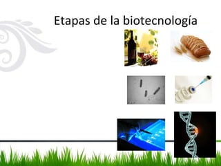 Etapas de la biotecnología
 