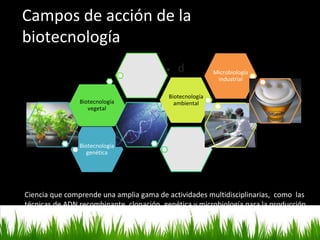 Campos de acción de la
biotecnología
● d
Biotecnología
genética
Biotecnología
vegetal
Biotecnología
ambiental
Microbiología
industrial
Ciencia que comprende una amplia gama de actividades multidisciplinarias, como las
técnicas de ADN recombinante, clonación, genética y microbiología para la producción
de alimentos o antibióticos (Ratledge y Kristiansen,2002)
 