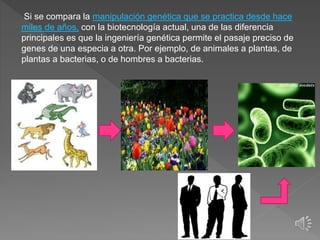 Si se compara la manipulación genética que se practica desde hace
miles de años, con la biotecnología actual, una de las diferencia
principales es que la ingeniería genética permite el pasaje preciso de
genes de una especia a otra. Por ejemplo, de animales a plantas, de
plantas a bacterias, o de hombres a bacterias.
 
