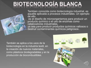 Tambien conocida como biotecnología industrial, es
aquella aplicada a procesos industriales. Un ejemplo
de ello
es el diseño de microorganismos para producir un
producto químico o el uso de enzimas como
catalizadores industriales,
ya sea para producir productos químicos valiosos o
destruir contaminantes químicos peligrosos .
También se aplica a los usos de la
biotecnología en la industria textil, en
la creación de nuevos materiales,
como plásticos biodegradables y en la
producción de biocombustibles.
 