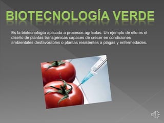 Es la biotecnología aplicada a procesos agrícolas. Un ejemplo de ello es el
diseño de plantas transgénicas capaces de crecer en condiciones
ambientales desfavorables o plantas resistentes a plagas y enfermedades.
 