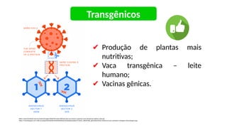 ✔ Produção de plantas mais
nutritivas;
✔ Vaca transgênica – leite
humano;
✔ Vacinas gênicas.
https://www.frontliner.com.br/content/images/2020/09/russia-defende-que-sua-vacina-e-superior-a-da-astrazeneca-oxford_vetor.gif
https://4.bp.blogspot.com/-oRCna1vqiSg/Xb3teAlzNEI/AAAAAAAAHpQ/jYEuKpXpwewBsCY5r3amU_K8OXU9kR_jgCNcBGAsYHQ/s1600/carro-por-assinatura-vantagens-desvantagens.jpg
Transgênicos
 