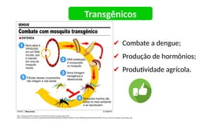 ✔ Combate a dengue;
✔ Produção de hormônios;
✔ Produtividade agrícola.
https://megaarquivo.files.wordpress.com/2014/07/mosquito-transgnico.jpg?w=700
https://4.bp.blogspot.com/-oRCna1vqiSg/Xb3teAlzNEI/AAAAAAAAHpQ/jYEuKpXpwewBsCY5r3amU_K8OXU9kR_jgCNcBGAsYHQ/s1600/carro-por-assinatura-vantagens-desvantagens.jpg
Transgênicos
 