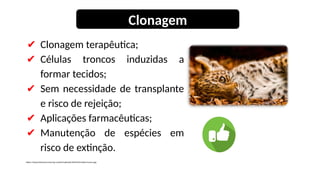 ✔ Clonagem terapêutica;
✔ Células troncos induzidas a
formar tecidos;
✔ Sem necessidade de transplante
e risco de rejeição;
✔ Aplicações farmacêuticas;
✔ Manutenção de espécies em
risco de extinção.
https://www.infoescola.com/wp-content/uploads/2016/03/celulas-tronco.jpg
Clonagem
 