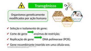 ✔ Seleção e isolamento de gene;
✔ Corte de gene enzimas de restrição;
✔ Replicação de gene DNA polimerase (PCR);
✔ Gene recombinante inserido em uma célula-ovo.
https://upload.wikimedia.org/wikipedia/commons/1/1e/S%C3%ADmbolo_de_transg%C3%AAnico_no_Brasil.jpg
Transgênicos
https://cdn.pixabay.com/photo/2020/05/18/04/56/vegetation-5184519_1280.png
Organismos geneticamente
modificados por ação humana
 
