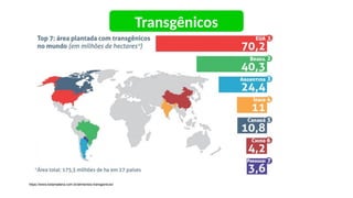 Transgênicos
https://www.todamateria.com.br/alimentos-transgenicos/
 