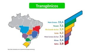 Transgênicos
https://static.todamateria.com.br/upload/tr/an/transgenicosbrasil.jpg
 