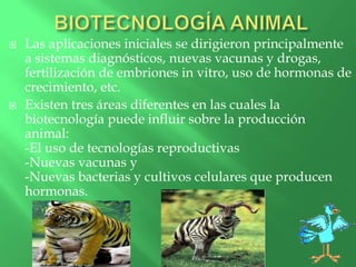  Las aplicaciones iniciales se dirigieron principalmente
a sistemas diagnósticos, nuevas vacunas y drogas,
fertilización de embriones in vitro, uso de hormonas de
crecimiento, etc.
 Existen tres áreas diferentes en las cuales la
biotecnología puede influir sobre la producción
animal:
-El uso de tecnologías reproductivas
-Nuevas vacunas y
-Nuevas bacterias y cultivos celulares que producen
hormonas.
 