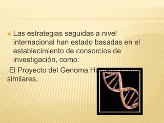  Las estrategias seguidas a nivel
internacional han estado basadas en el
establecimiento de consorcios de
investigación, como:
El Proyecto del Genoma Humano y otros
similares.
 