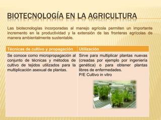 BIOTECNOLOGÍA EN LA AGRICULTURA
Técnicas de cultivo y propagación Utilización
Se conoce como micropropagación al
conjunto de técnicas y métodos de
cultivo de tejidos utilizados para la
multiplicación asexual de plantas.
Sirve para multiplicar plantas nuevas
(creadas por ejemplo por ingeniería
genética) o para obtener plantas
libres de enfermedades.
P/E Cultivo in vitro
Las biotecnologías incorporadas al manejo agrícola permiten un importante
incremento en la productividad y la extensión de las fronteras agrícolas de
manera ambientalmente sustentable.
 