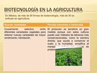 Nuevas variedades Plantas tolerantes a herbicidas
Cruzamiento selectivo entre
diferentes variedades vegetales para
obtener nuevas variedades de mayor
rendimiento, hibridación.
El productor se beneficia en gran
medida porque con estos cultivos
puede usar métodos de labranza más
conservacionistas, como la siembra
directa, que ayuda a conservar el
suelo y la humedad, simplifica el
manejo y reduce los costos de
producción.
BIOTECNOLOGÍA EN LA AGRICULTURA
En México, de más de 90 firmas de biotecnología, más de 30 se
enfocan en agricultura.
 