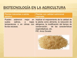 Plantas tolerantes a estrés
abiótico
Plantas con calidad nutricional
mejorada
Pueden sobrevivir mejor en
suelos salinos, a bajas
temperaturas o en climas con
lluvias escasas.
Implicar el mejoramiento de la calidad de
la planta como alimento, la reducción de
alérgenos, la modificación del tiempo de
conservación, de las características
organolépticas, etc.
P/E Arroz Dorado
BIOTECNOLOGÍA EN LA AGRICULTURA
 