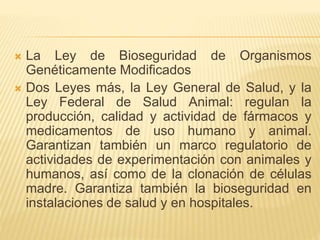  La Ley de Bioseguridad de Organismos
Genéticamente Modificados
 Dos Leyes más, la Ley General de Salud, y la
Ley Federal de Salud Animal: regulan la
producción, calidad y actividad de fármacos y
medicamentos de uso humano y animal.
Garantizan también un marco regulatorio de
actividades de experimentación con animales y
humanos, así como de la clonación de células
madre. Garantiza también la bioseguridad en
instalaciones de salud y en hospitales.
 